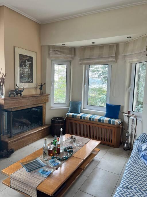 Villa Sul Mare Chalkís 외부 사진