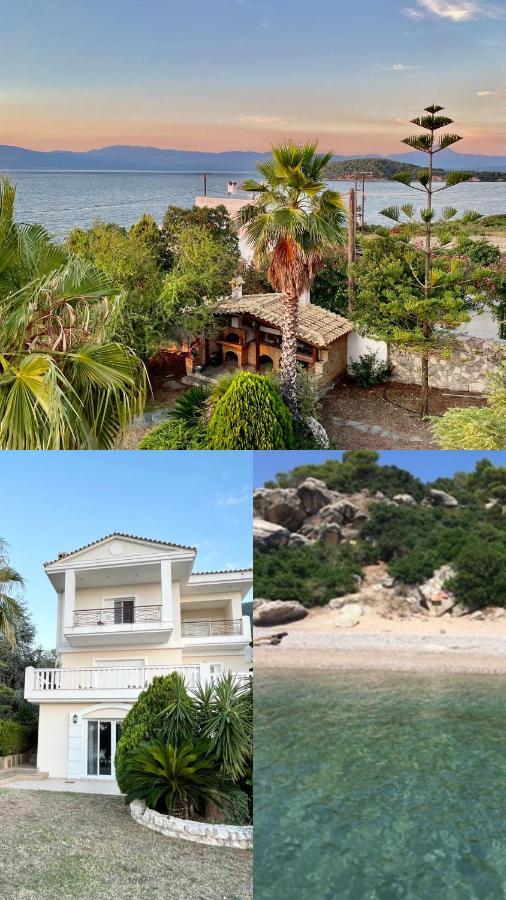 Villa Sul Mare Chalkís 외부 사진